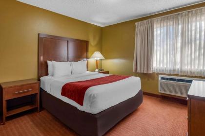 Comfort Inn Denver Southeast - image 12