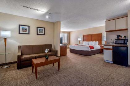 Comfort Inn Denver Southeast - image 13