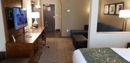 Comfort Suites Denver near Anschutz Medical Campus - image 11