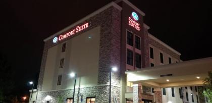 Comfort Suites Denver near Anschutz Medical Campus - image 3