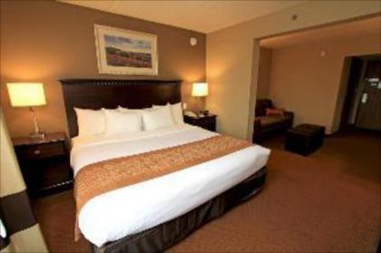 Comfort Suites Austin Airport - image 2