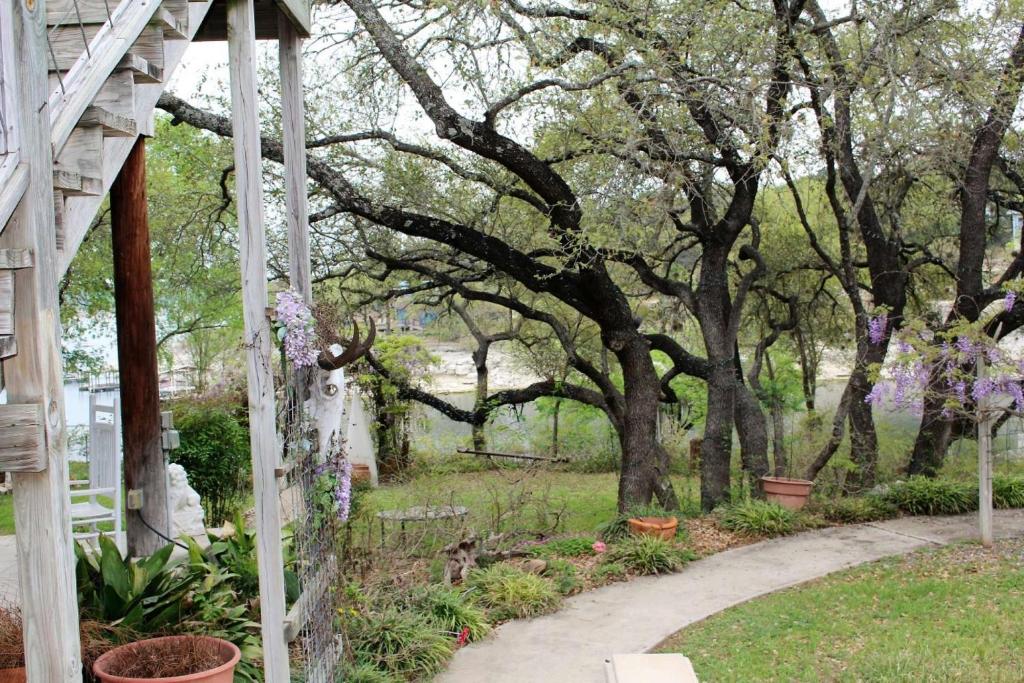 The Nest on Lake Travis - image 5