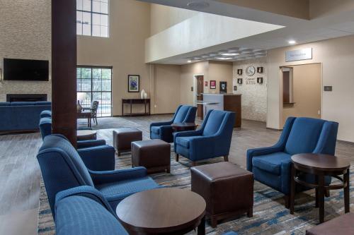 Comfort Suites - South Austin - image 3