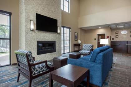 Comfort Suites - South Austin - image 5