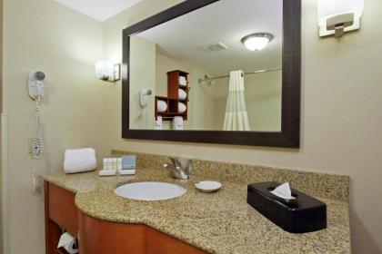 Hampton Inn Ashtabula - image 13