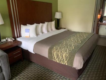 Days Inn by Wyndham Austintown - image 3