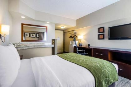 Comfort Suites Avenel - image 10