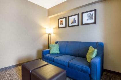 Comfort Suites Avenel - image 12