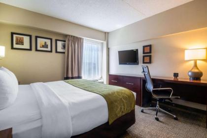 Comfort Suites Avenel - image 4