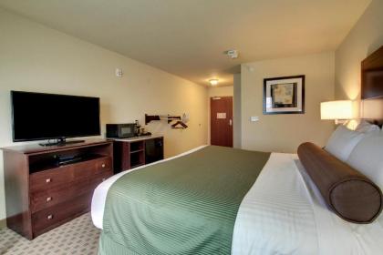 Cobblestone Inn & Suites - Avoca - image 10