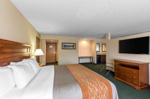 Comfort Inn Near Vail Beaver Creek - image 4