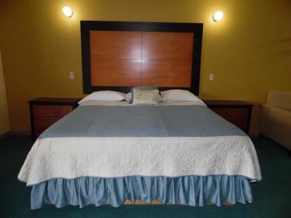 Regency Inn Bald Knob - image 7