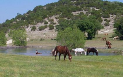 West 1077 Guest Ranch - image 5