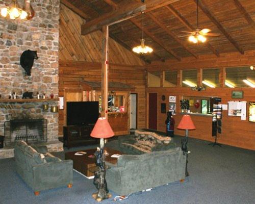 Warm Cozy Family-Orientated Lodge in Blue Ridge Mountains - image 2