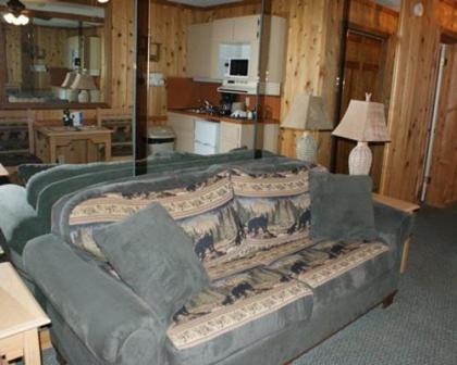 Warm Cozy Family-Orientated Lodge in Blue Ridge Mountains - image 3