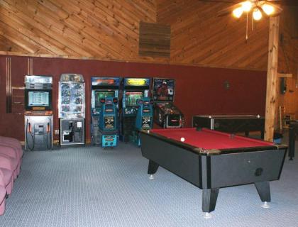 Family-Oriented Lodge in Blue Ridge Mountains - One Bedroom Lodge #1 - image 10