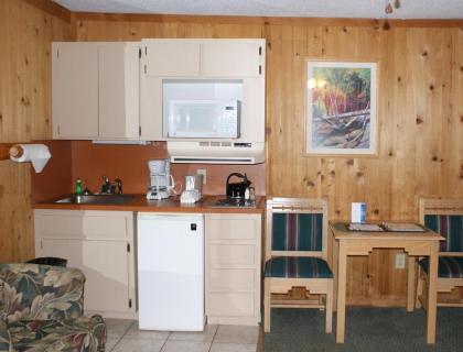 Family-Oriented Lodge in Blue Ridge Mountains - One Bedroom Lodge #1 - image 15