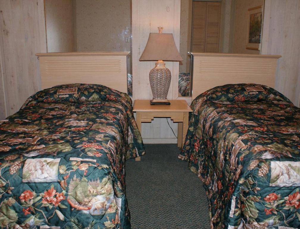 Family-Oriented Lodge in Blue Ridge Mountains - One Bedroom Lodge #1 - image 3