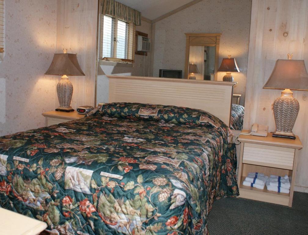 Family-Oriented Lodge in Blue Ridge Mountains - One Bedroom Lodge #1 - image 4