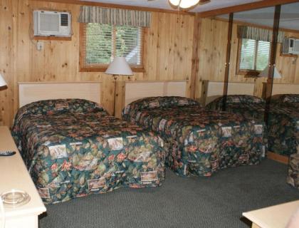 Family-Oriented Lodge in Blue Ridge Mountains - One Bedroom Lodge #1 - image 6