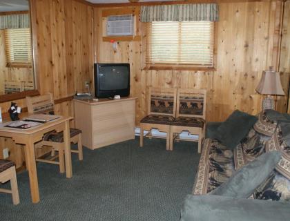 Family-Oriented Lodge in Blue Ridge Mountains - One Bedroom Lodge #1 - image 7