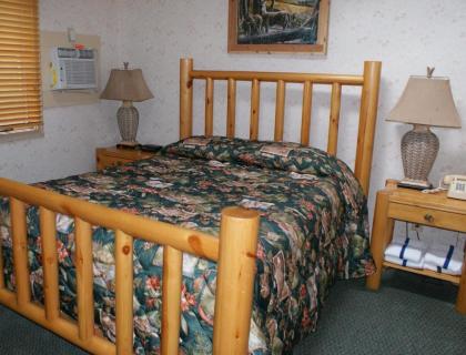 Family-Oriented Lodge in Blue Ridge Mountains - One Bedroom Lodge #1 - image 8