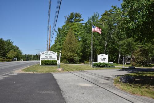 Acadia Pines Motel - image 3