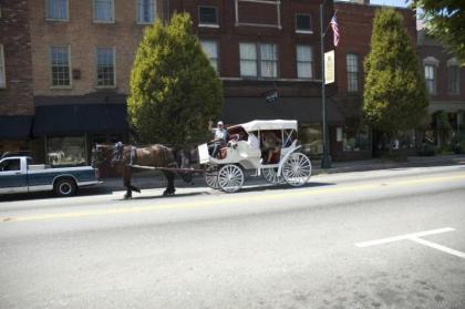 Bourbon Manor Bed & Breakfast Inn - image 4