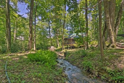 Creekside Cabin with Deck in Pisgah Forest! - image 10