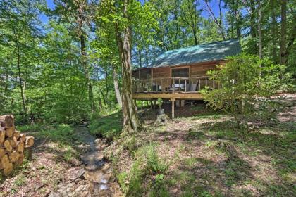 Creekside Cabin with Deck in Pisgah Forest! - image 11