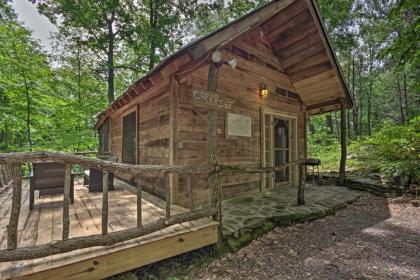 Creekside Cabin with Deck in Pisgah Forest! - image 12