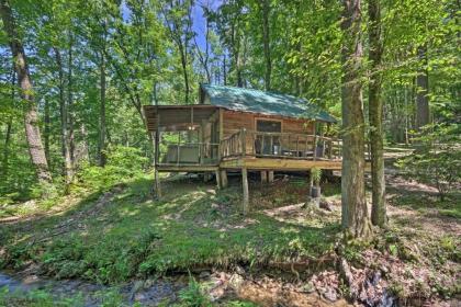 Creekside Cabin with Deck in Pisgah Forest! - image 15