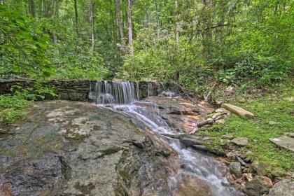 Creekside Cabin with Deck in Pisgah Forest! - image 9