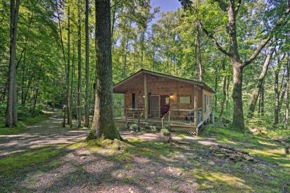 Pisgah Forest The Oak Cabin with Deck by Creek - image 10