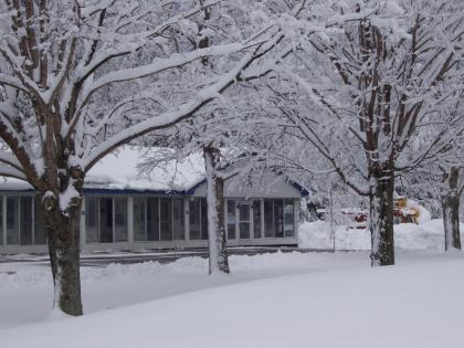 North Colony Motel and Cottages - image 15