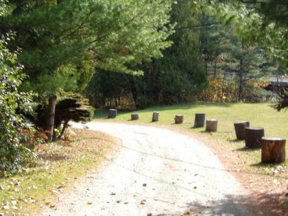 Pine Crest Motel & Cabins - image 9