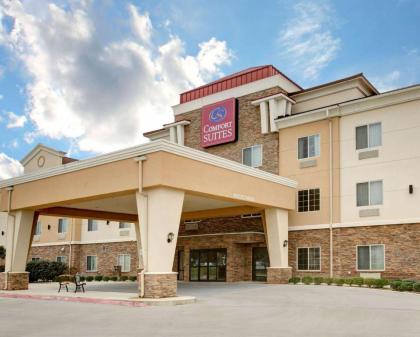 Comfort Suites Bastrop - image 12