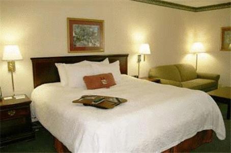 Hampton Inn Batesville - image 6