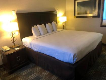 Quality Inn - image 5