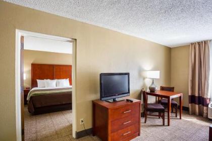 Comfort Inn University Area - image 2