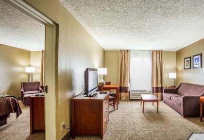 Comfort Inn University Area - image 3