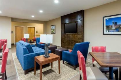 Comfort Inn & Suites Baton Rouge Airport - image 3