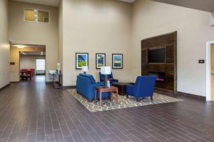 Comfort Inn & Suites Baton Rouge Airport - image 4