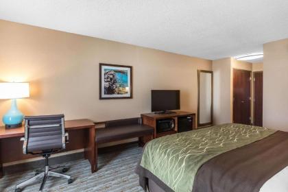 Comfort Inn Bay City - Riverfront - image 11