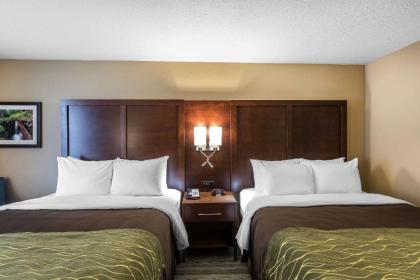 Comfort Inn Bay City - Riverfront - image 6