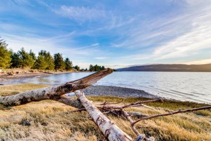 Yurt on the Bay - image 12