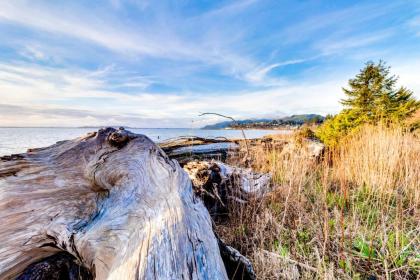 Yurt on the Bay - image 9