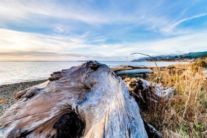 Ghost Hole View - image 6