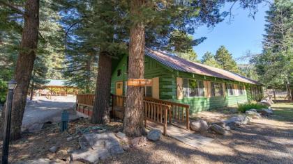 The Colorado Spruce Cabin #15 - image 15