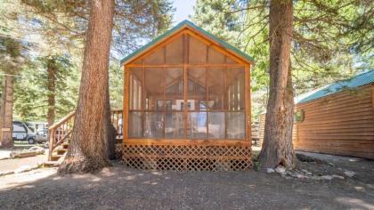 The Cottonwood Cabin #17 - image 2